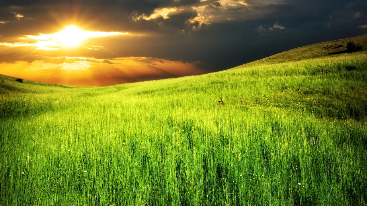 Vremea din România, la extreme: În Vestul ţării vor fi temperaturi de până la 35 de grade Celsius; Estul, sub ploi torenţiale