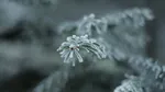 Schimbare radicală de vreme: Temperaturi minime sub zero grade Celsius spre finalul săptămânii
