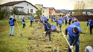 Pădure urbană, după conceptul japonez miyawaki, într-un cartier din Sibiu