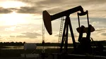 Petrolul scade de la cel mai ridicat nivel din octombrie, ca urmare a întăririi dolarului