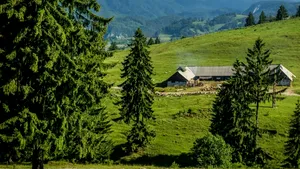 STUDIU Turiştii au căutat în acest an zone care în trecut nu erau pe harta turistică a României. Lista destinaţiilor