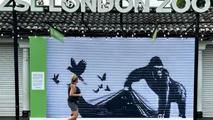 Opera lui Bansky, îndepărtată de la grădina zoologică din Londra