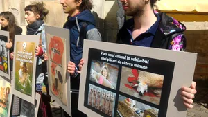 Un grup de vegani a protestat faţă de sacrificarea mieilor în preajma Paştilor, în Cluj