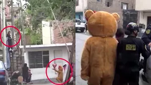 Un poliţist s-a deghizat într-un urs-mesager de Ziua Îndrăgostiţilor pentru a aresta o traficantă de droguri