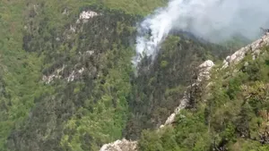 Incendiu de vegetaţie pe 5 hectare în Parcul Naţional Porţile de Fier. UPDATE: 80% din focare au fost stinse