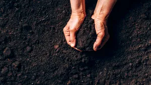 Guvernatorul statului New Jersey a semnat legea compostării umane ca alternativă la înmormântare