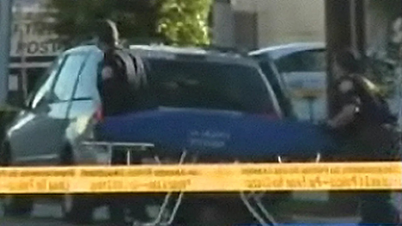 Şase morţi într-un atac armat în California
