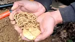 Un localnic a descoperit o comoară veche de peste 3.000 de ani în Cluj. Conține un artefact unic în România