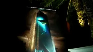 Imagini cu animale pe cale de dispariţie, proiectate pe faţada Empire State Building din New York - VIDEO