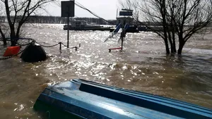Tradiţia de Florii, ţinută şi cu faleza Dunării inundată - GALERIE FOTO
