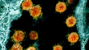 OMS anunţă că virusul SARS-CoV-2 nu mai este urgenţă globală