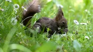 VREMEA în următoarele două săptămâni. Prognoza meteo până pe 24 mai, pentru fiecare regiune a ţării