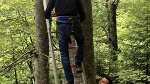 FOTO Un parapantist rus a rămas agăţat într-un copac la Sinaia, la o înălţime de zece metri