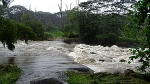 Atenţionare hidrologică pentru fenomene imediate. Cod galben de inundaţii în două judeţe