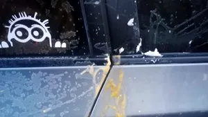 Cum îşi apără craiovenii locul de parcare: Maşinile nou-apărute, mânjite cu unt, ouă şi untură | VIDEO