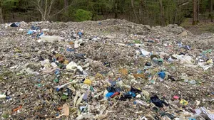 O pădure protejată pentru plantele sale rare, îngropată sub 40.000 de tone de gunoaie. Refacerea ar putea dura decenii
