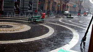 PPMT ameninţă Primăria Oradea cu un proces dacă nu va afişa şi denumirile maghiare ale străzilor