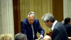 Neacşu (PSD): În respingerea urmăririi penale a primat valoarea emotivă a discursului lui Borbely