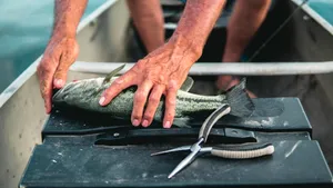 Cum alegi lansete crap pentru distanțe extreme (P)