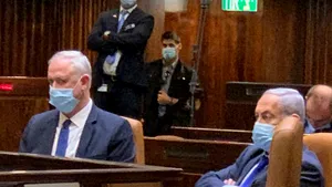 COMENTARIU Lelia Munteanu: 