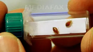 Două clădiri ale ONU din New York, pline de ploşniţe