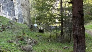 Un urs a fost îndepărtat de jandarmi din apropierea unei cabane turistice din Neamţ