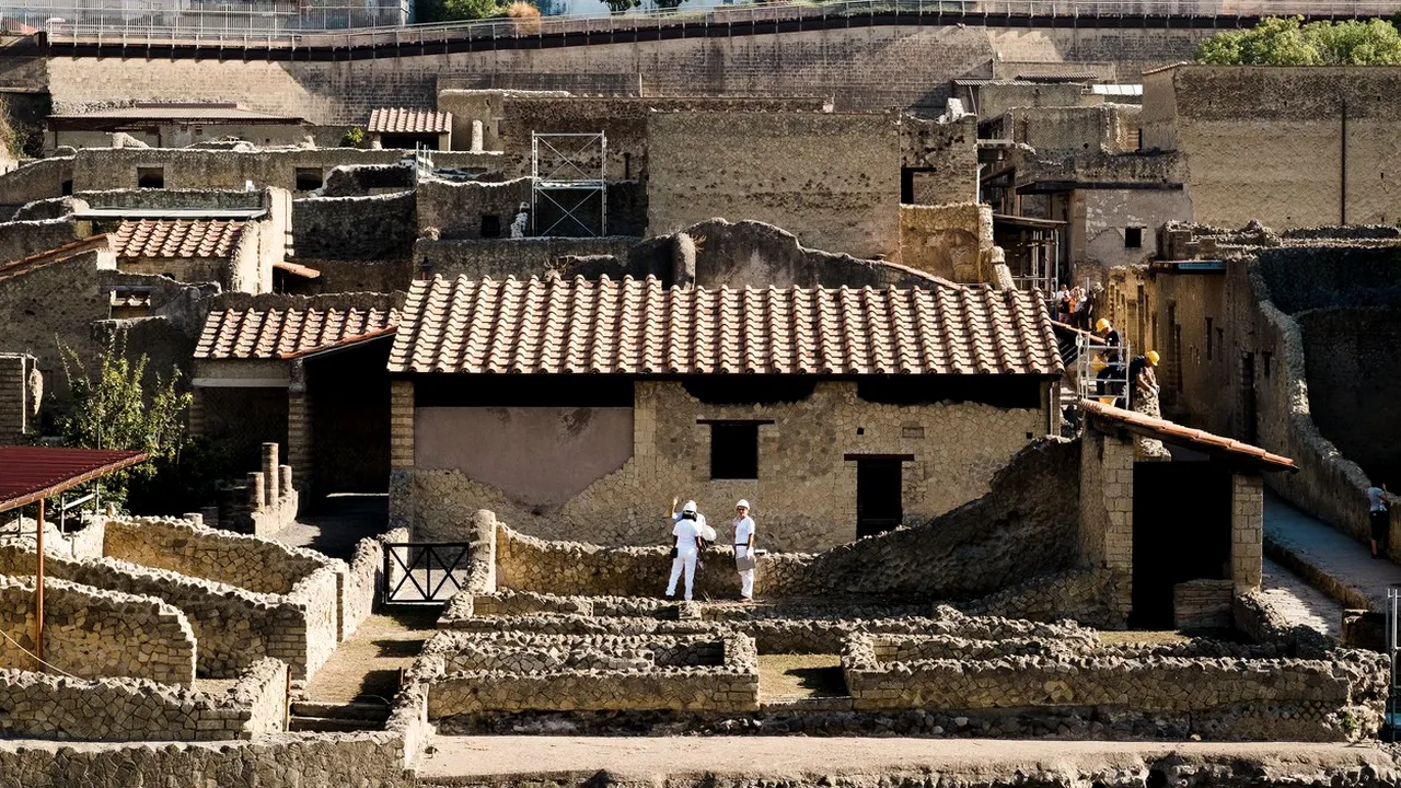 Descoperire istorică: Cercetătorii au găsit primul creier uman vitrificat