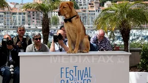 CANNES 2014: Labradorul Buddy a câştigat premiul Palm Dog - VIDEO