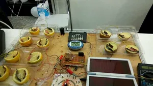 Energie din lămâie ori cartofi sau avionul care funcţionează pe bază de celule solare. 