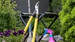 Opt sarcini de făcut în grădină înainte de sfârșitul lunii august. Ce recomandă horticultorii