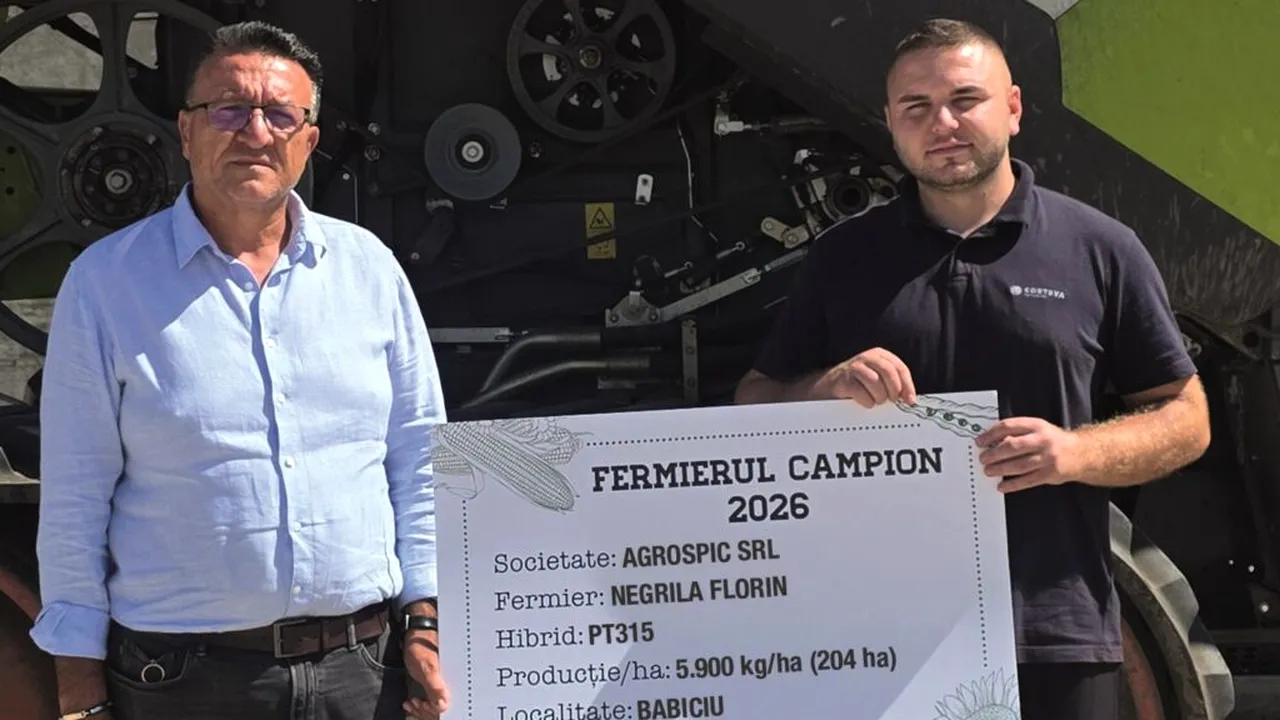 Fermierii campioni la rapiță din Oltenia