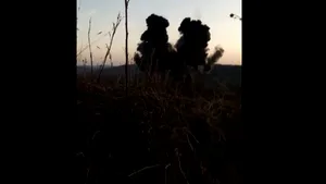Cantitate impresionantă de muniţie, distrusă într-un poligon militar din Arad