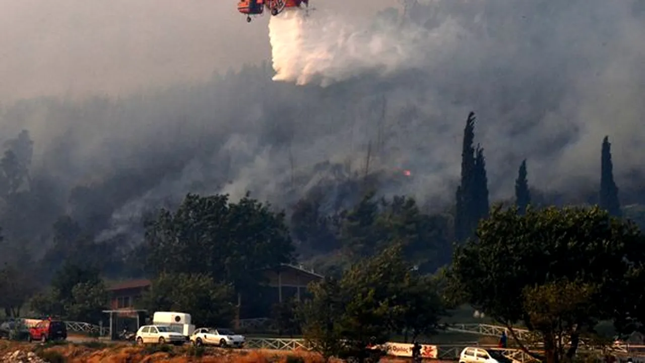Regiunea Patras din Grecia se află sub stare de urgenţă din cauza unui incendiu de pădure