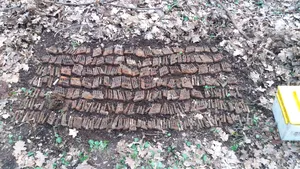 Descoperire a unei impresionante cantităţi de muniţie de RĂZBOI, la intrarea în Zoo Sibiu - GALERIE FOTO