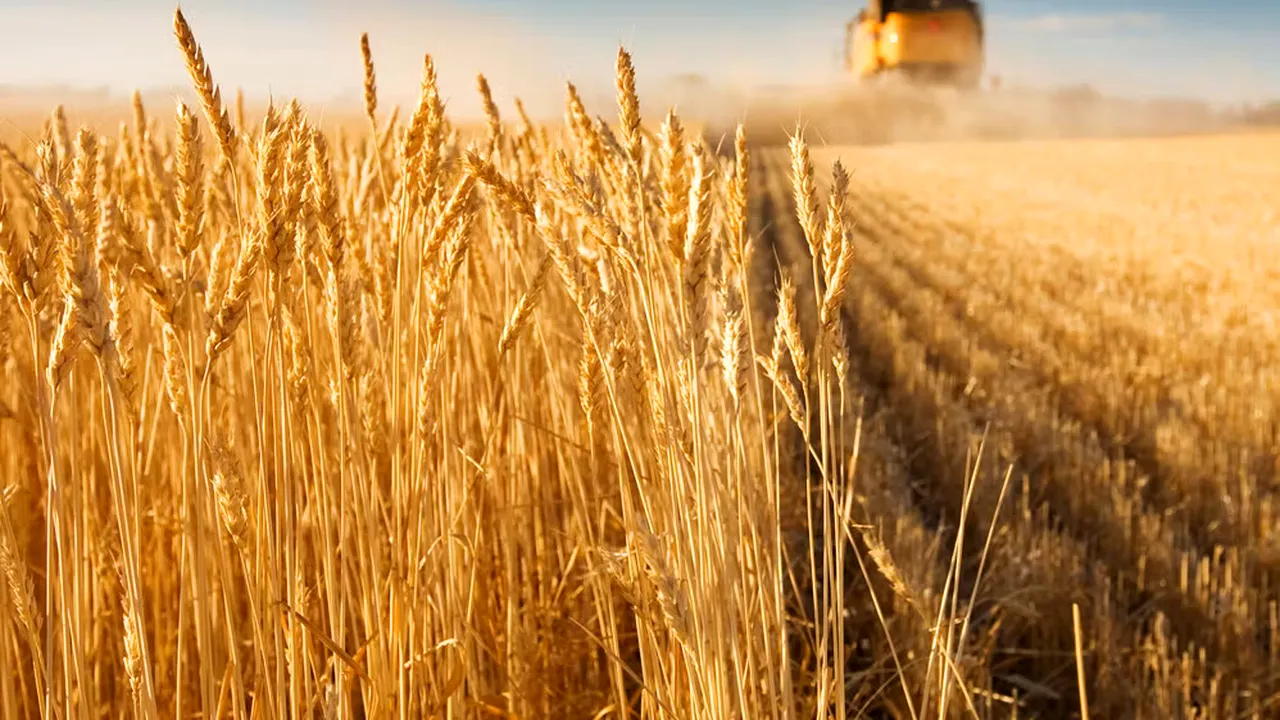 ANUNT PRIVIND INCEPEREA DERULARII PROIECTULUI GRANT PENTRU CAPITAL DE LUCRU ACORDAT BENEFICIARULUI ARGES AGRO PROIECT SRL