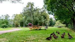 Doi adolescenţi din Suedia sunt suspectaţi de uciderea unui om al străzii român/ Povestea tragică a lui Gică, care a ajuns cerşetor după ce şi-a pierdut locul de muncă
