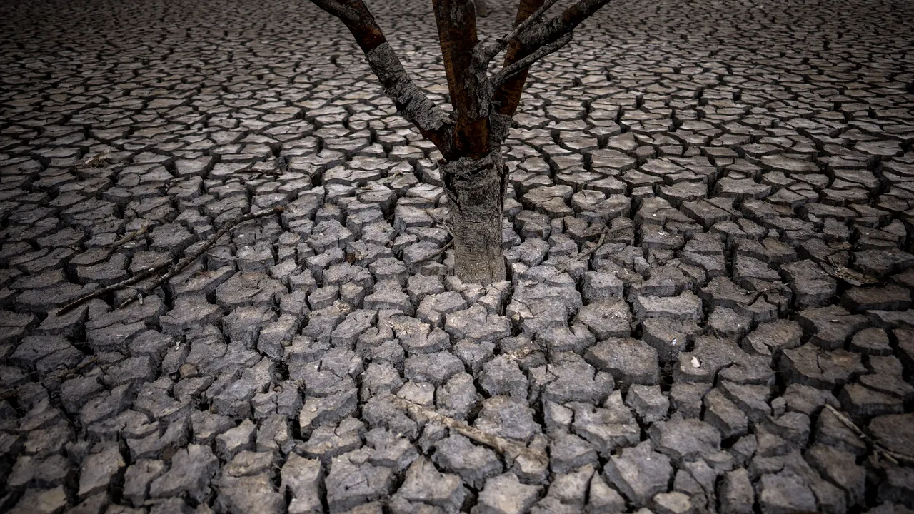 Australia înregistrează cea mai secetoasă lună octombrie din 2002 încoace din cauza lui El Nino