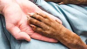 Momentul emoţionant în care un câine se reîntâlneşte cu familia sa, la opt ani după ce fost furat din grădina casei