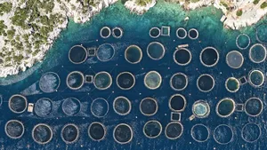 Criză ecologică în Grecia: deșeuri din ferme abandonate ajung în mare