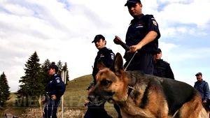 Prahova: Cei doi turişti dispăruţi în zona Muntele Roşu au fost găsiţi