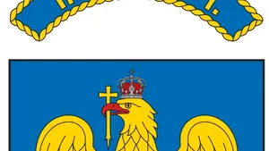 IGI: Când situaţia a impus, am sesizat organele competente cu privire la posibile infracţiuni