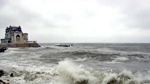 Cod galben de vijelii în Capitală şi pe litoral de 1 mai