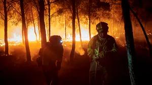 Atenționare de călătorie în SUA din cauza unor incendii de vegetație