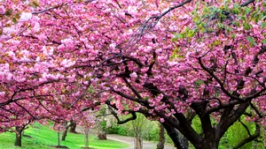 Bucureştenii ar putea avea un nou spaţiu de recreere. Parc de peste patru hectare, în cartierul bucureştean Vitan