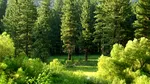 Avertisment pentru cei care au pini aproape de casă. Ce trebuie făcut toamna pentru a evita pericole
