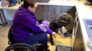 Liggy, labradorul care i-a oferit independenţă stăpânei sale aflate în scaun cu rotile 