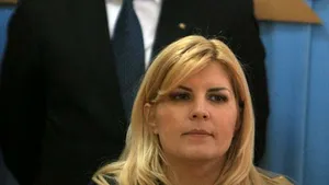 Udrea: Voi respecta decizia PDL privind televiziunile