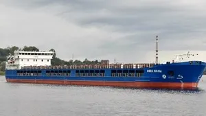 Ucraina îl convoacă pe ambasadorul Turciei după ce o navă rusească, plină cu cereale, a părăsit un port turcesc