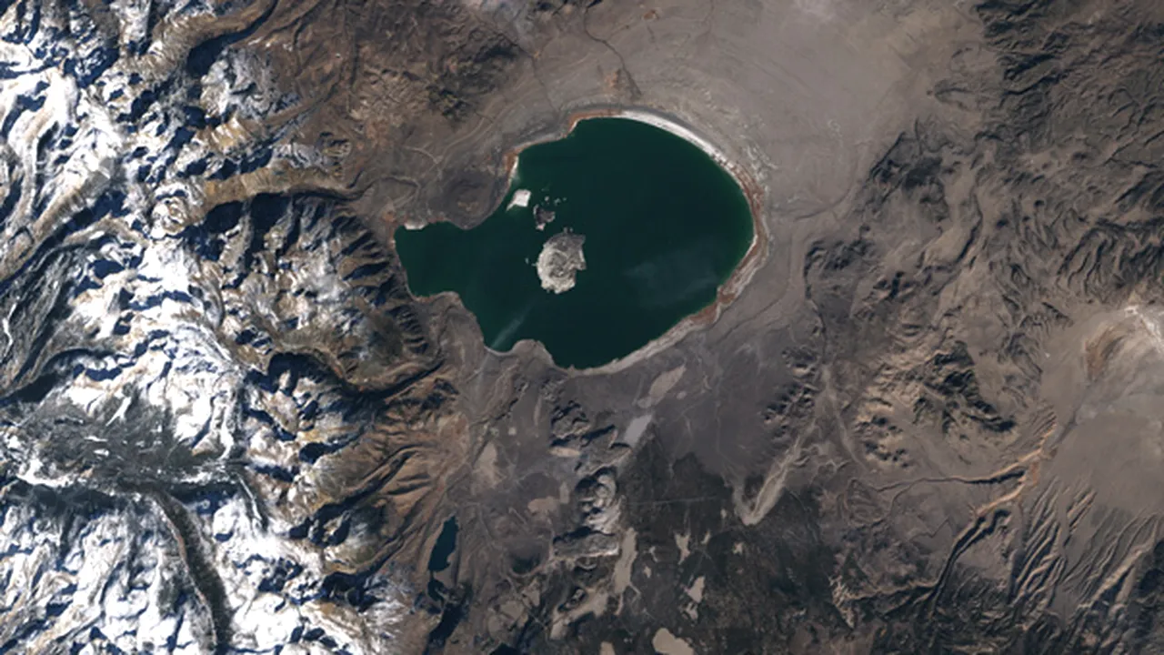 NASA a descoperit o bacterie care trăieşte în arsenic