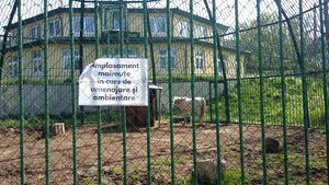 Adăpost de jumătate de milion de euro pentru maimuţe zace nefolosit de trei ani pentru că nu a fost amenajat bine, la o Zoo din România